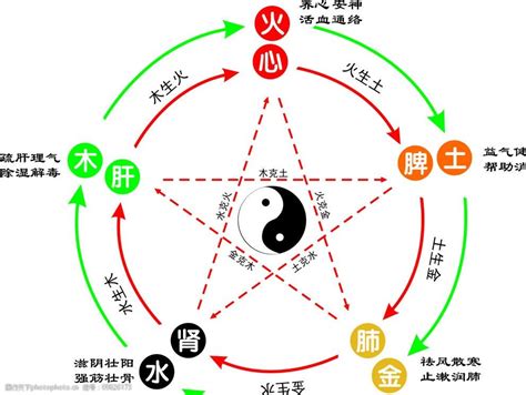 木火金水|八字五行论命，“金水”旺和“木火”旺到底有何不同？